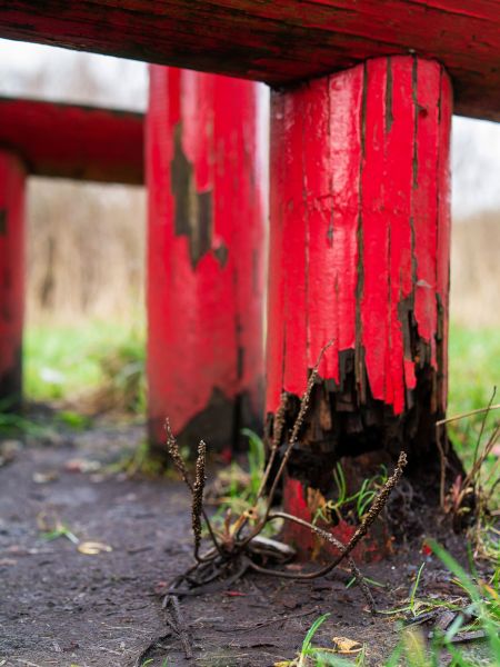 Cost of Rotten Column Replacement in Fishers